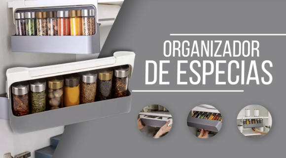 Organizador especies expansible|